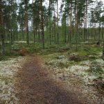 36343602670_27a15ca04e_k