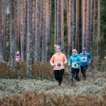 Komiaflow-pajuluoma-28