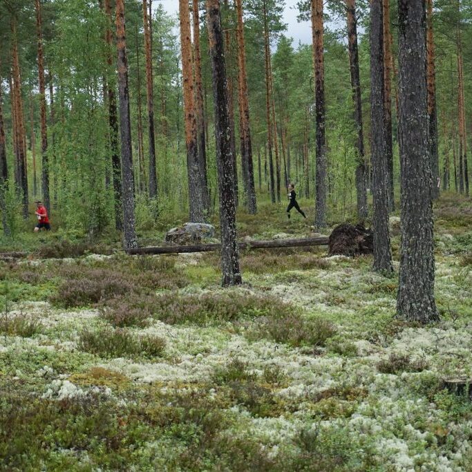 Iivo Kotamäen kuvat