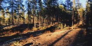 Processed with VSCO with 4 preset