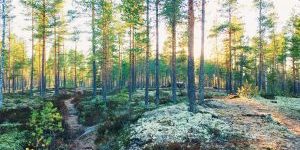 Processed with VSCO with s6 preset