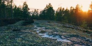 Processed with VSCO with e2 preset